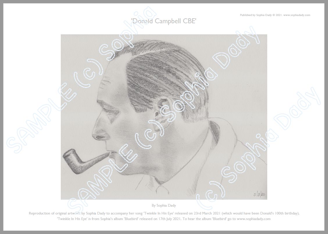 Sophia Dady Artwork - Donald Campbell CBE