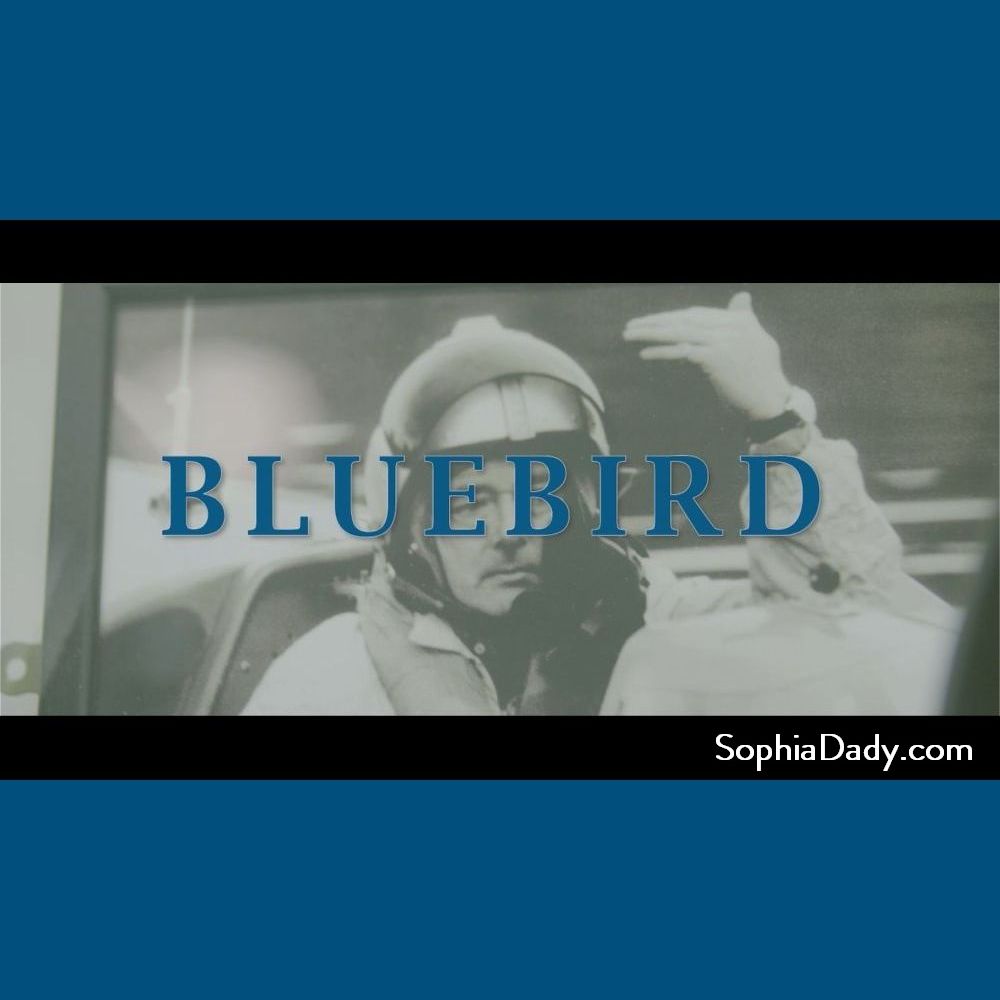 Sophia Dady Bluebird Music Video thumbnail as uploaded to YouTube