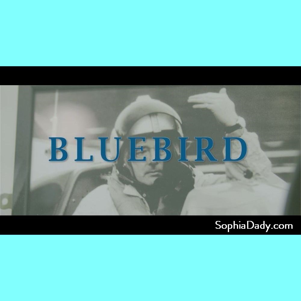 Sophia Dady Bluebird Music Video thumbnail as uploaded to YouTube